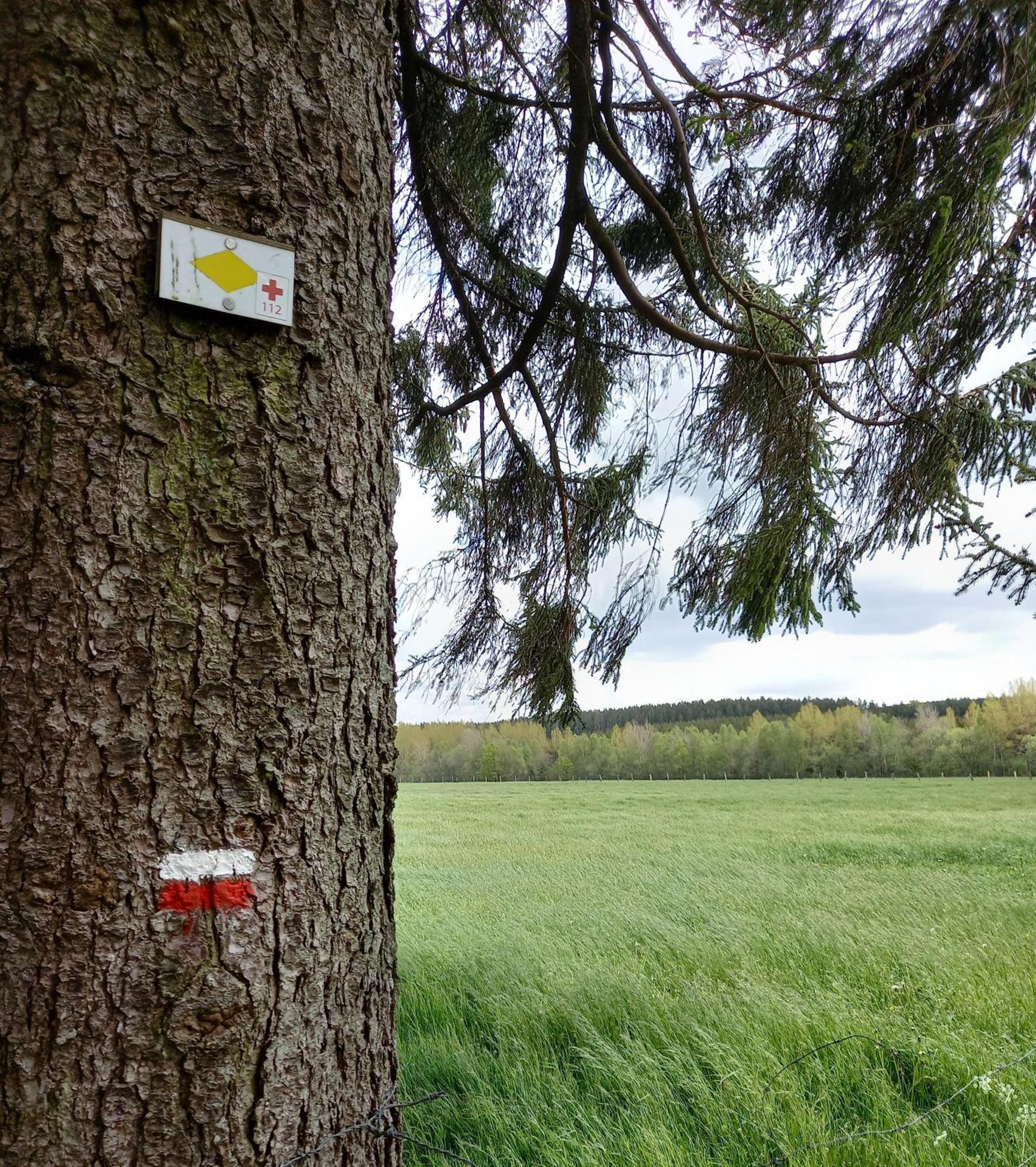 Gite Citadin 3 Epis "Carpe Diem" Villa Bastogne Oda fotoğraf